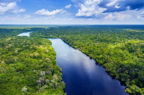 Amazon River overhead shot for Itinerary page
