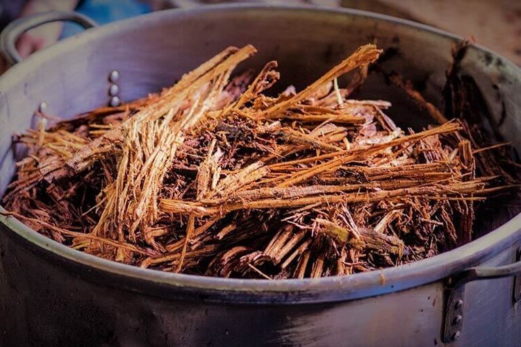 Smashed Ayahuasca Root in pot to be processed into Ayahuasca drink