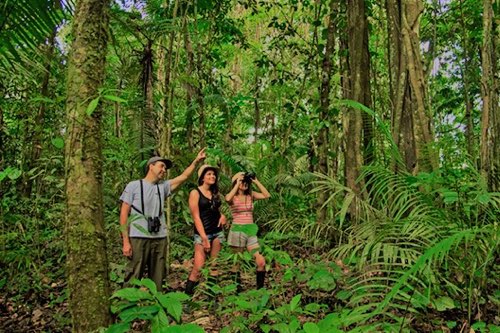 Trio in the jungle for Itinerary page