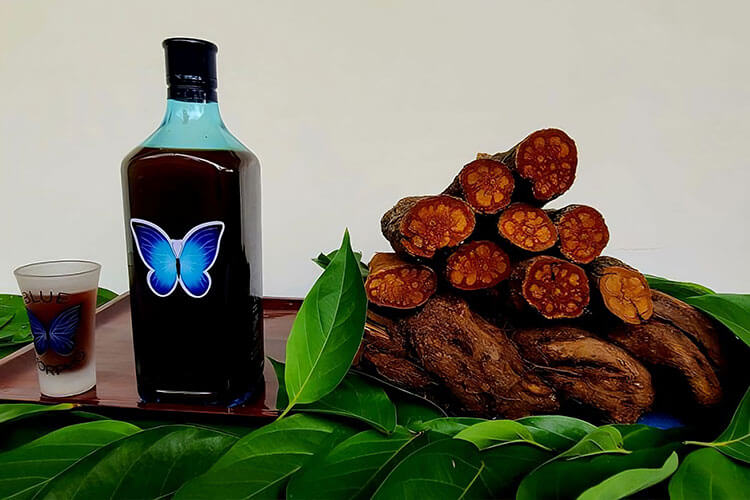 Cup Bottle and Roots of Blue Morpho Ayahuasca