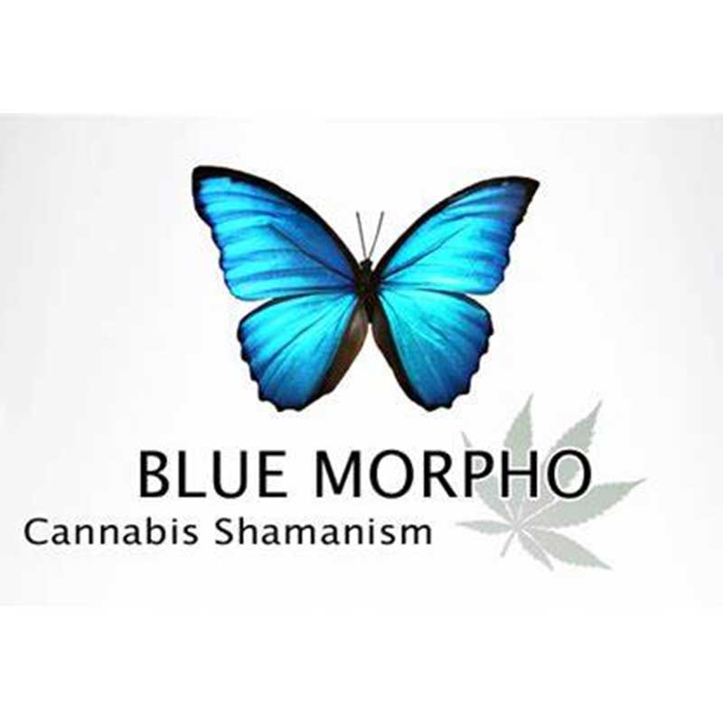 Blue Morpho Cannabis Shamanism Logo