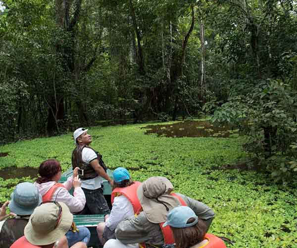 Blue Morpho Tours Excursion Boat Ride in Amazon