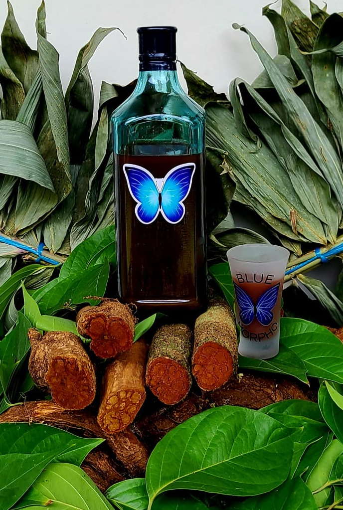 Bottle of Ayahuasca with roots and glass