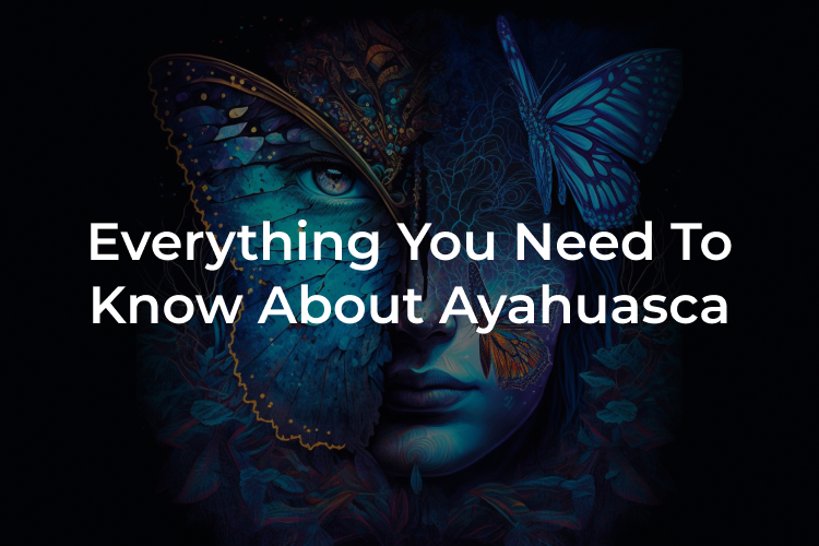 guide to ayahuasca