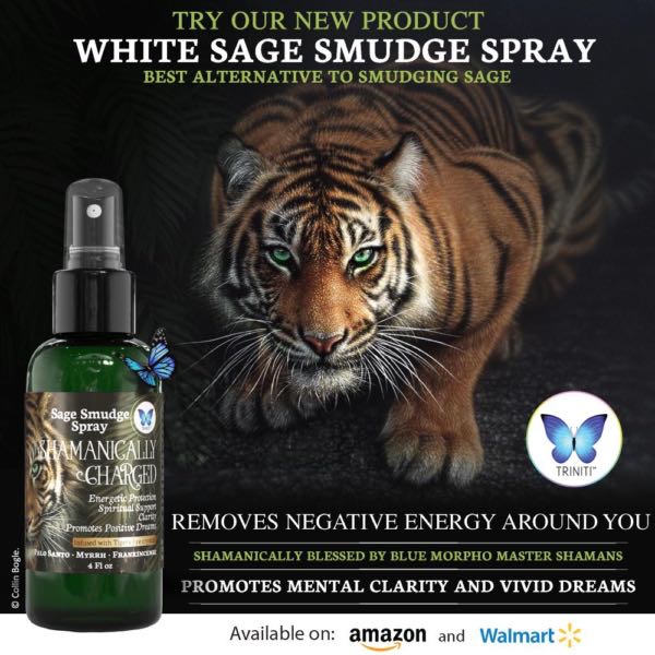 White Sage Smudge Spray Cover ARt